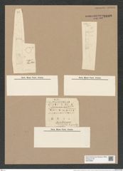 Melosira crenulata var. binderiana Grun. (de-Toni-Nr.: Genus 213, Species 5312) Zeichnungen Sammlung Grunow Nr. 9189 (NHMW-BOT-W0378968)